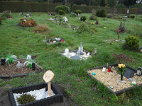 Grabstellen auf dem Tierfriedhof an der Wildeshauser Straße wie sie in Zukunft nicht mehr möglich sein werden, da die Bewirtschaftung der Fläche aufgegeben wird.