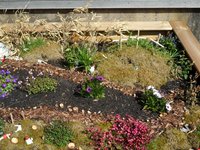 Drei kleine Hlzkreuze in einem Modellgarten zu den Osterereignissen vor dem Petrus Gemeindehaus in Varrel zu Ostern 2021 