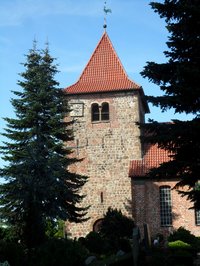 Turm der St. Laurentiuskirche Hasbergen zwischen hohen Tannen, blauer Himmel