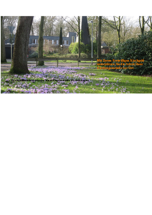 Rasenfläche mit blühenden Krokusseen vor dem St. Johannes Haus mit der Bitte um eine Kirchgeldspende 
