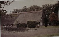 Reetgedecktes Fachwerkhaus mit angebautem Stall - das Gut 1959